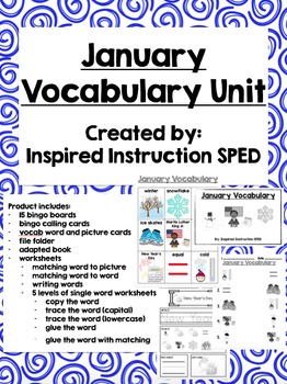 Preview of January Vocabulary Unit for Early Elementary or Students with Special Needs