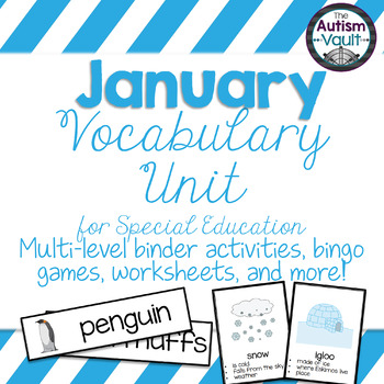 Preview of January Vocabulary Unit for Special Education