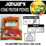 January/Winter Fine Motor Minis