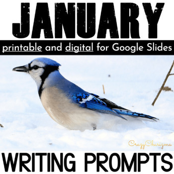 Preview of January Writing Prompts about Winter, Martin Luther King Jr, Chinese New Year