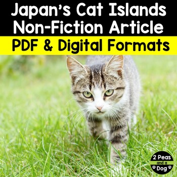 Preview of Japan's Cat Islands Non-Fiction Article