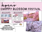 Japan's Cherry Blossom Festival | Lesson | Real-Life Pictures