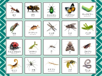 Preview of Japanese/日本語 -- Creepy Critter Vocabulary Poster