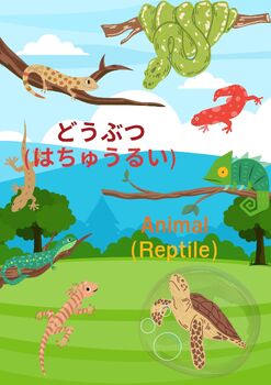 Preview of Japanese 101 : Animal (Reptile & Amphibians)