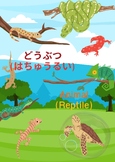 Japanese 101 : Animal (Reptile & Amphibians)