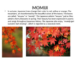 Japanese Autumn PowerPoint