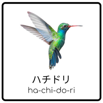 Preview of Japanese/日本語 -- Birds Flash & Match cards