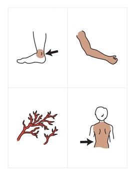 Preview of Japanese Flashcards- The body