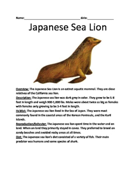 Japanese Sea Lion - Extinct informational lesson questions vocab word