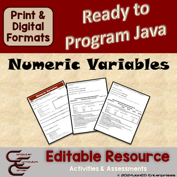 Preview of Java 3 Numeric Variables Editable Coding Activities & Assessments