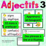 Je travaille mon vocabulaire: Les adjectifs 3 {French Adje