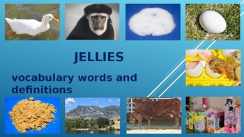 Preview of Jellies Vocabulary Words, Definitions, and Pictures from the book Journeys.