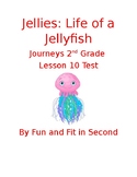 Jellies: Life of a Jellyfish Assessment