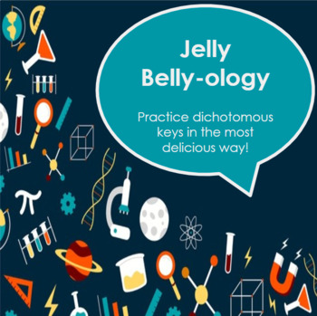 Preview of Jelly Belly-ology: Delicious Dichotomous Key