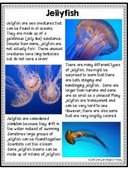 Jellyfish Freebie | Differentiated Texts | Nonfiction Close Reading ...