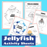 Jellyfish Activity Sheets -  Jellyfish Life Cycle & Jellyf