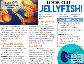 Close Read- Jellyfish by Lessons in Literacy | Teachers ...