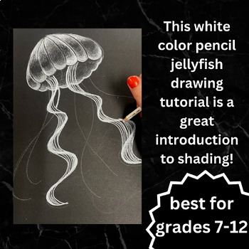 jellyfish drawings pencil