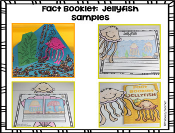 Jellyfish Fact Booklet with Activities by TheBeezyTeacher | TpT