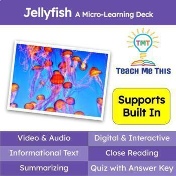 Preview of Jellyfish Informational Text Reading Passage and Activities
