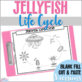 Jellyfish Life Cycle Marine Biology, Life Science Diagram,