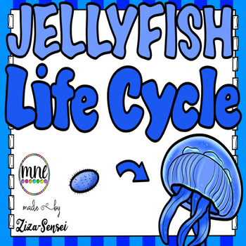 Preview of Jellyfish Life Cycle Science Pack 2nd Grade Flip Book Included