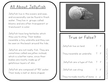 jellyfish worksheet science by green apple lessons tpt