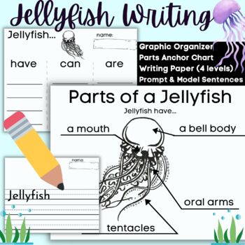 jellyfish diagram for kids