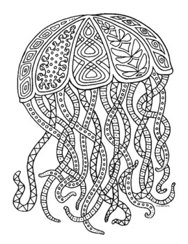 jellyfish zentangle coloring page by pamela kennedy tpt