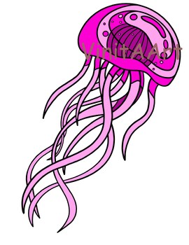 clip art jelly fish