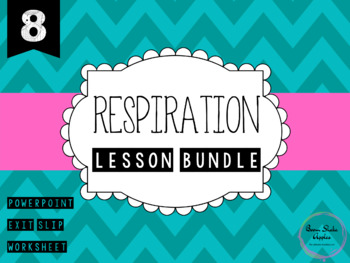 Preview of Jnr Science Cellular Respiration Lesson Bundle