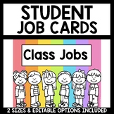 Job Cards Bright Classroom Decor