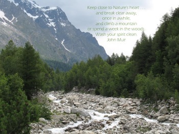 Preview of John Muir quote posters