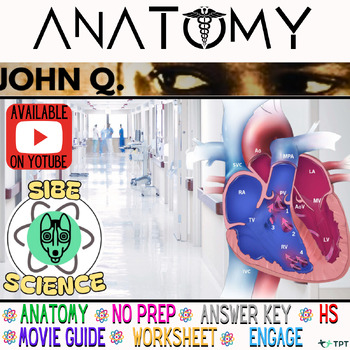Preview of John Q, Anatomy Movie, Cardiovascular, Worksheet, 11th, High School