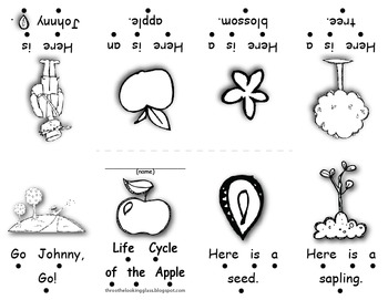 Preview of Johnny Appleseed BittyBook: Life Cycle of the Apple
