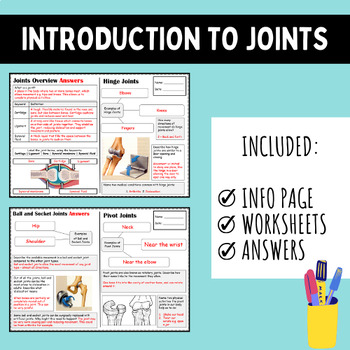 Joint Types Worksheets (Hinge Ball and Socket Pivot) by Science House