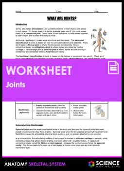 Preview of Joints of the Body and Types of Synovial Joints Worksheet