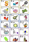 Jolly Phonics Picture and Letter Flashcards - 42 sounds US