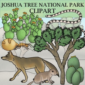 Preview of Joshua Tree National Park Clipart - Plants and Animals of the National Parks