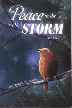 Preview of Useful as a Science, Reading, Writing, or Personal Journal:  Peace in the Storm