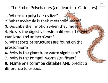 Preview of Journal (or do-now) packet for Phylum Annelida (Segmented Worms)