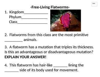 Preview of Journal (or do-now) packet for Phylum Platyhelminthes (Flatworms)