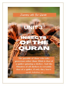 Preview of Journey into the Quran; Quranic Arabic course Unit 3 (29-page packet)