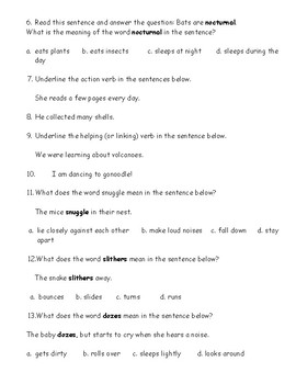 Journey's Quiz Bat Loves the Night (3rd grade, lesson 6) by Miss Kiss
