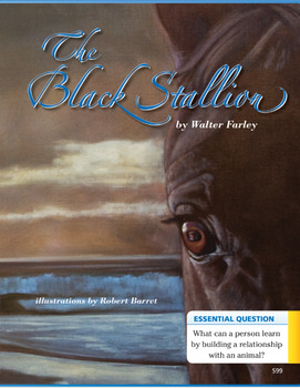Preview of Journey's The Black Stallion TDA