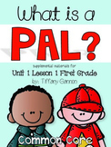 Journeys First Grade Unit 1 Lesson 1 What is a Pal?