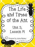Fourth Grade: The Life and Times of the Ant (Journeys Supplement)