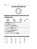 Luke Goes to Bat Assessment