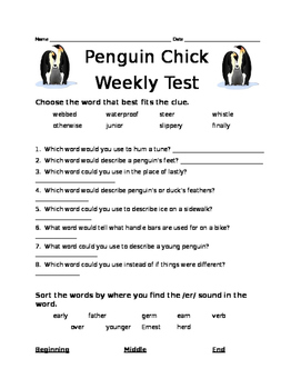 Preview of Penguin Chick Assessment