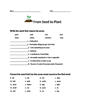 Preview of From Seed to Plant Assessment